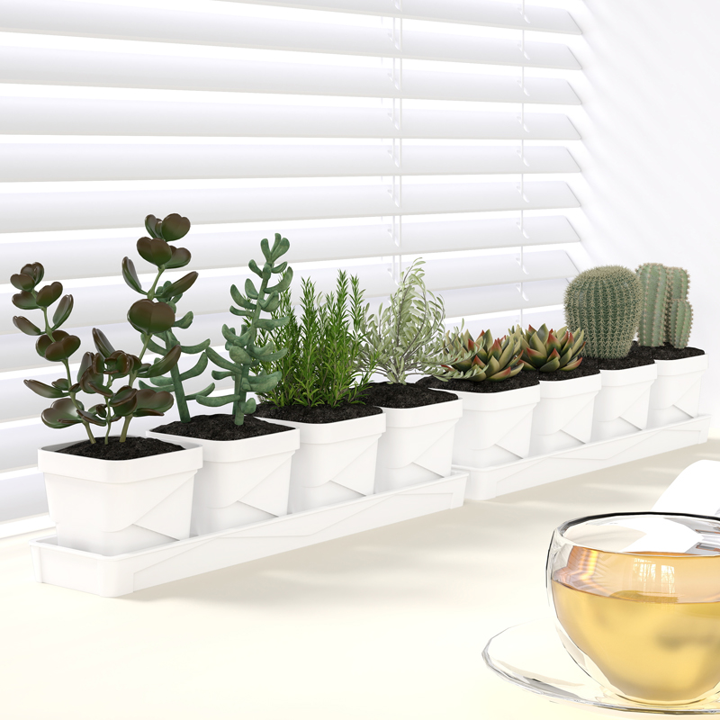 Cactus Mix Pot - Pot Sukulen Minimalis Nordik Dengan Alas,