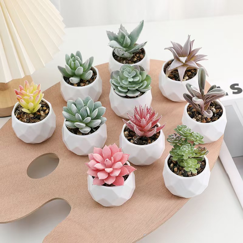 Tanaman Buatan Mini Simulasi K - Cactus Mix Pot ulasan dan harga