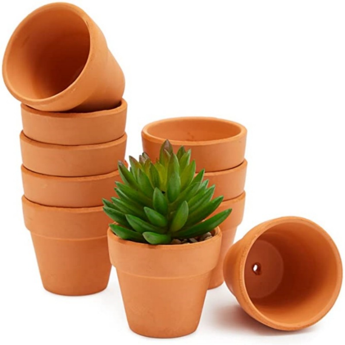 16 Buah Pot Terra Cotta 1.8 '' - Cactus Mix Pot ulasan dan harga