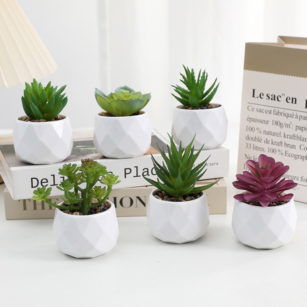 Simulasi Tanaman Kaktus Sukule - Cactus Mix Pot ulasan dan harga