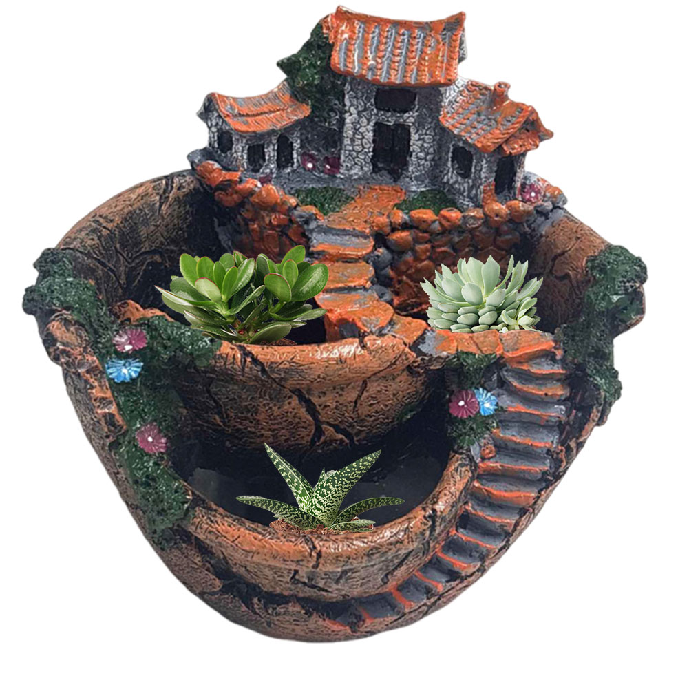 Pot Sukulen Vintage Multi Pot  - Cactus Mix Pot ulasan dan harga