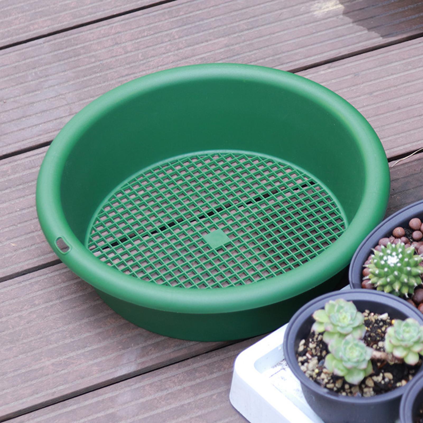 Saringan Batu Anti Karat, Sari - Plant Parenting ulasan dan harga