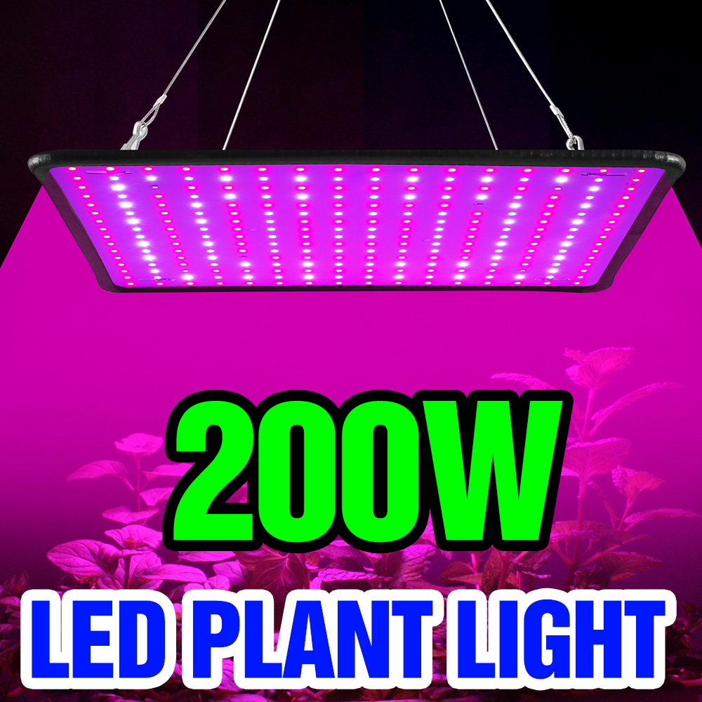 Lampu Tanam LED Quantum Board  - Cactus Mix Pot ulasan dan harga