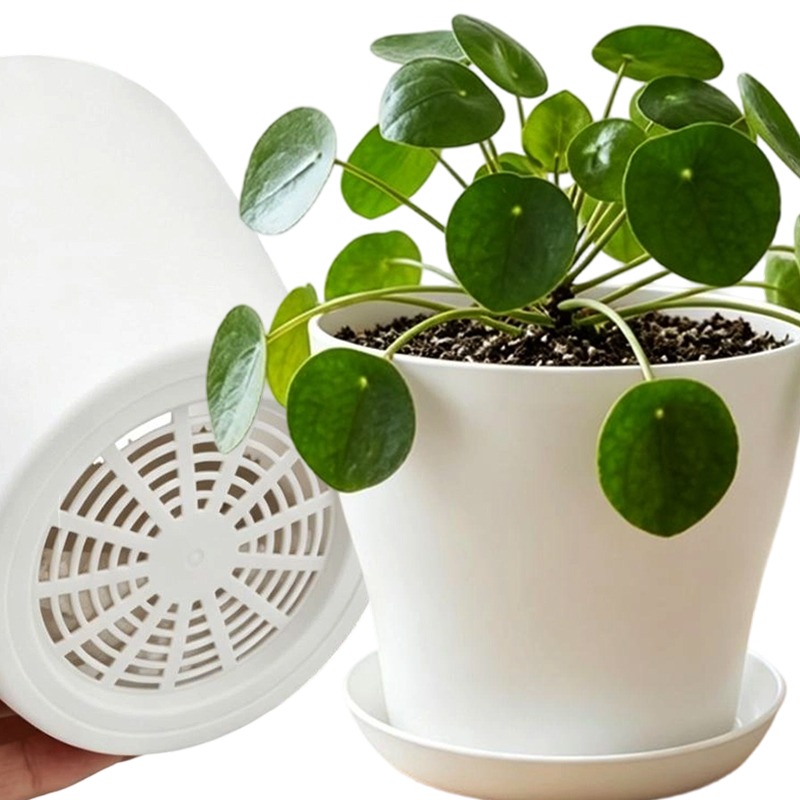 Set Pot Tanaman dengan Lubang  - Cactus Mix Pot ulasan dan harga