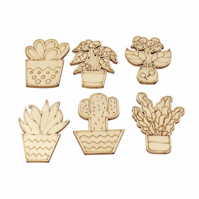 50PCS Aneka Gaya Pot Bunga Kak - Cactus Mix Pot ulasan dan harga